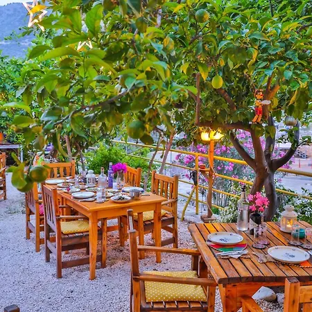 Durupduru 홈스테이